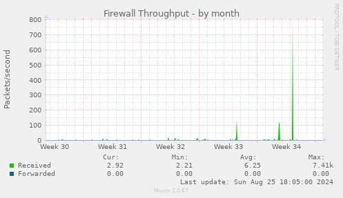 Firewall Throughput