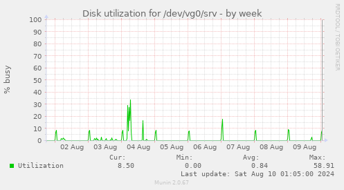 Disk utilization for /dev/vg0/srv