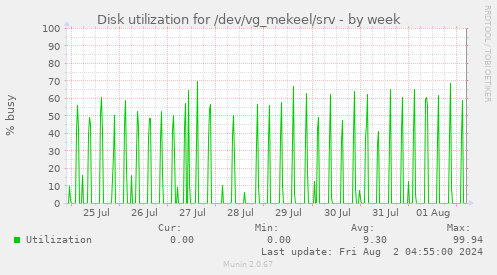 Disk utilization for /dev/vg_mekeel/srv