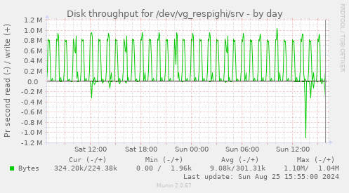 Disk throughput for /dev/vg_respighi/srv