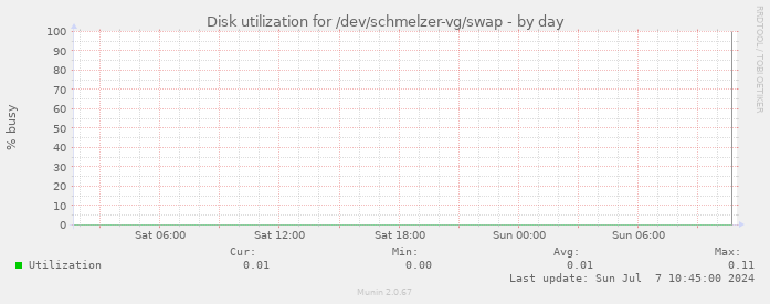 Disk utilization for /dev/schmelzer-vg/swap