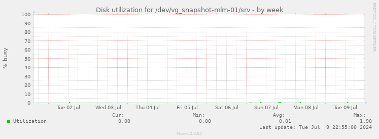 Disk utilization for /dev/vg_snapshot-mlm-01/srv